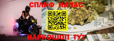 a pvp Гагарин