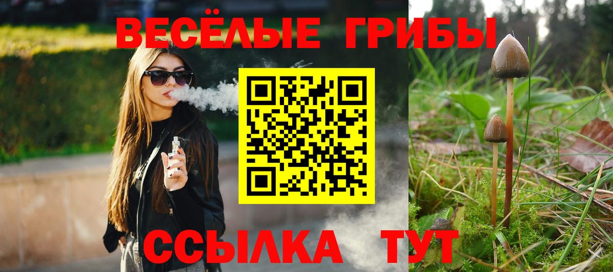 Псилоцибиновые грибы GOLDEN TEACHER Нижнекамск
